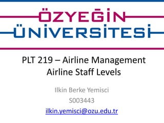PLT 219 – Airline Management 
Airline Staff Levels 
Ilkin Berke Yemisci 
S003443 
ilkin.yemisci@ozu.edu.tr 
 