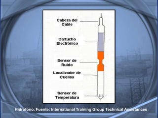 Hidrófono. Fuente: International Training Group Technical Assistances
 