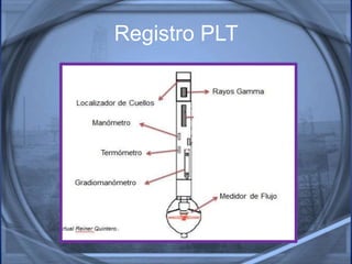 Registro PLT
 