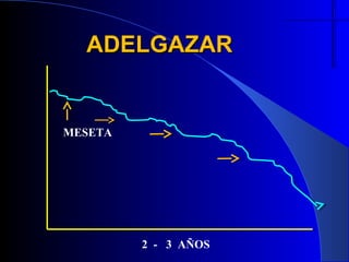 ADELGAZAR


MESETA




         2 - 3 AÑOS
 