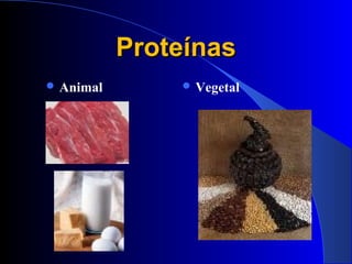Proteínas
 Animal        Vegetal
 