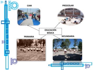 CAM                  PRESCOLAR




           EDUCACIÓN
             BÁSICA
PRIMARIA               SECUNDARIA
 