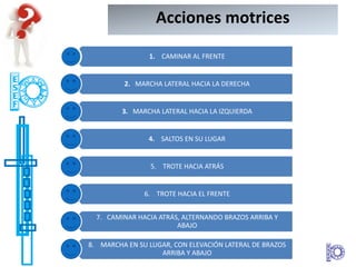 Acciones motrices

                1. CAMINAR AL FRENTE


         2. MARCHA LATERAL HACIA LA DERECHA


         3. MARCHA LATERAL HACIA LA IZQUIERDA


                4. SALTOS EN SU LUGAR


                 5. TROTE HACIA ATRÁS


               6. TROTE HACIA EL FRENTE


  7. CAMINAR HACIA ATRÁS, ALTERNANDO BRAZOS ARRIBA Y
                        ABAJO

8. MARCHA EN SU LUGAR, CON ELEVACIÓN LATERAL DE BRAZOS
                   ARRIBA Y ABAJO
 