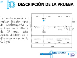 DESCRIPCIÓN DE LA PRUEBA

La prueba consiste en
realizar distintos tipos
de desplazamiento y
acciones en la alberca
de 25 mts., estas
estarán divididas en 5
diferentes zonas: A, B,
C, D y E.
 
