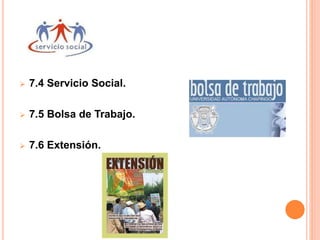  7.4 Servicio Social.
 7.5 Bolsa de Trabajo.
 7.6 Extensión.
 