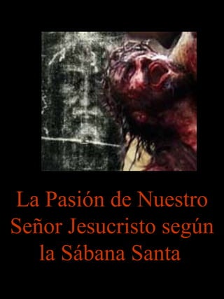 La Pasión de Nuestro
Señor Jesucristo según
la Sábana Santa
 