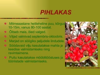 PIHLAKAS Mitmeaastane heitleheline puu, kõrgus 10-15m, vanus 80-100 aastat . Õitseb mais ,   õ ied valged.  Viljad valmivad septembris-oktoobris . Marjad on söögiks paljudele lindudele . Söödavaid vilju kasutatakse mahla ja keedise valmistamiseks ning ravimtaimena. Puitu kasutatakse mööblitööstuses ja  tööriistade valmistamiseks. 