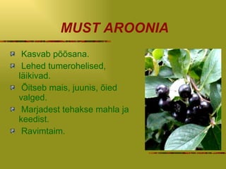 MUST AROONIA Kasvab põõsana. Lehed tumerohelised, läikivad. Õitseb mais, juunis, õied valged. Marjadest tehakse mahla ja  keedist. Ravimtaim. 