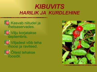 KIBUVITS HARILIK   JA KURDLEHINE Kasvab niitudel ja metsaservades. Vilju korjatakse septembris. Viljadest võib teha moosi ja raviteed. Õitest tehakse roosiõli. 