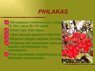 PIHLAKAS Mitmeaastane heitleheline puu, kõrgus 10-15m, vanus 80-100 aastat . Õitseb mais ,   õ ied valged.  Viljad valmivad septembris-oktoobris . Marjad on söögiks paljudele lindudele . Söödavaid vilju kasutatakse mahla ja keedise valmistamiseks ning ravimtaimena. Puitu kasutatakse mööblitööstuses ja  tööriistade valmistamiseks. 