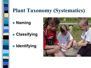 Plant Taxonomy (Systematics)
 Naming
 Classifying
 Identifying
 