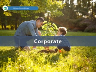 Corporate
Plateau Energy Metals
 