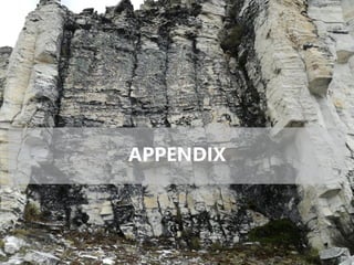 APPENDIX
 