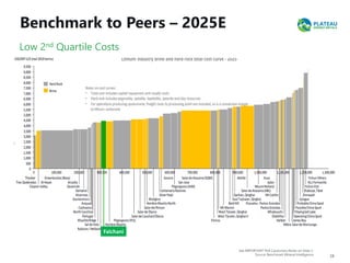 Benchmark to Peers – 2025E
28
See IMPORTANT PEA Cautionary Notes on Slide 2.
Source: Benchmark Mineral Intelligence
Falchani
Low 2nd Quartile Costs
 