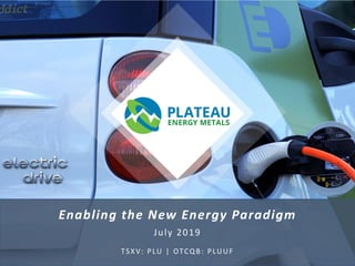 Enabling the New Energy Paradigm
July 2019
TSXV: PLU | OTCQB: PLUUF
 