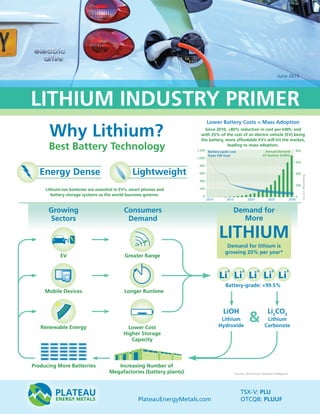 LITHIUM INDUSTRY PRIMER
TSX-V: PLU
OTCQB: PLUUFPlateauEnergyMetals.com
Best Battery Technology
Why Lithium?
800
600
400
200
0
1,200
1,000
800
600
400
200
0
2010 2015 2020 2025 2030
Annual demandBattery packs cost
$/per kW hour EV battery (GWh)
Energy Dense Lightweight
Growing
Sectors
Consumers
Demand
Greater Range
Longer Runtime
Lower Cost
Higher Storage
Capacity
LiOH
Lithium
Hydroxide
&
Increasing Number of
Megafactories (battery plants)
Producing More Batterries
Li2
CO3
Lithium
Carbonate
EV
Renewable Energy
Mobile Devices
Demand for
Demand for lithium is
growing 20% per year*
Li
3
Li
3
Li
3
Li
3
Li
3
Since 2010, +80% reduction in cost per kWh, and
with 25% of the cost of an electric vehicle (EV) being
the battery, more affordable EV’s will hit the market,
leading to mass adoption.
Lithium-ion batteries are essential in EV’s, smart phones and
battery storage systems as the world becomes greener.
Lower Battery Costs = Mass Adoption
Battery-grade: +99.5%
June 2019
Source:Bloomberg
*Source: Benchmark Mineral Intelligence
More
LITHIUM
 