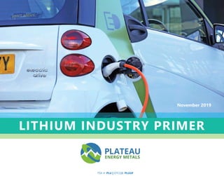 LITHIUM INDUSTRY PRIMER
TSX-V: PLU | OTCQB: PLUUF
November 2019
 