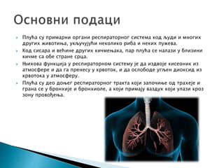 Плућа - Д. Јанковић | PPT