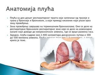 Плућа - Д. Јанковић | PPT