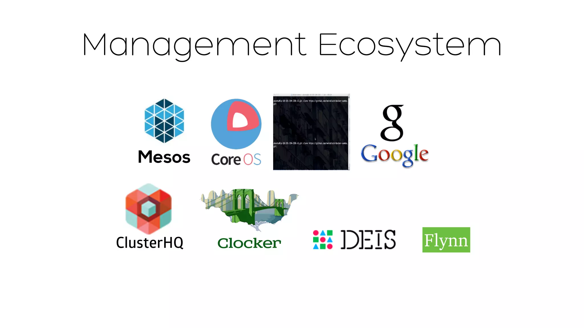 Management Ecosystem 
Mesos 
ClusterHQ Clocker Flynn 
 