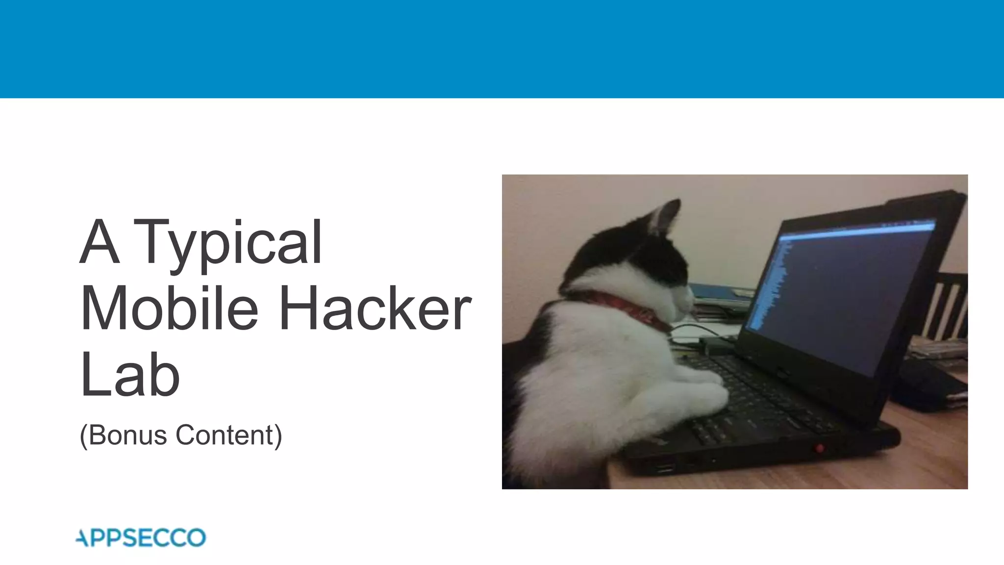A Typical
Mobile Hacker
Lab
(Bonus Content)
 
