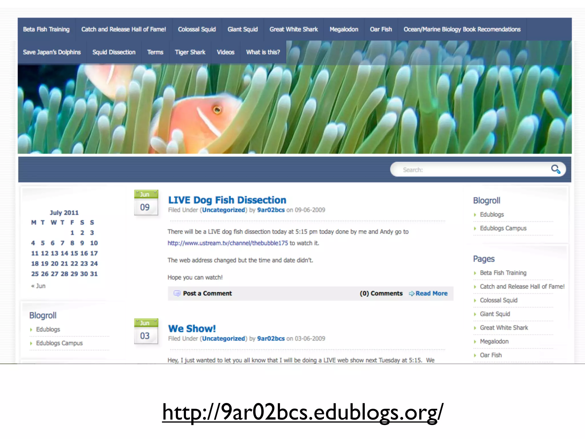 Sharks!




http://9ar02bcs.edublogs.org/
 