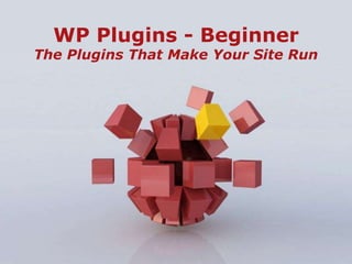 Page 1Conrad Hall – WP-TODoers
WP Plugins - Beginner
The Plugins That Make Your Site Run
 