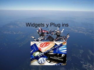 Widgets y Plug ins
 