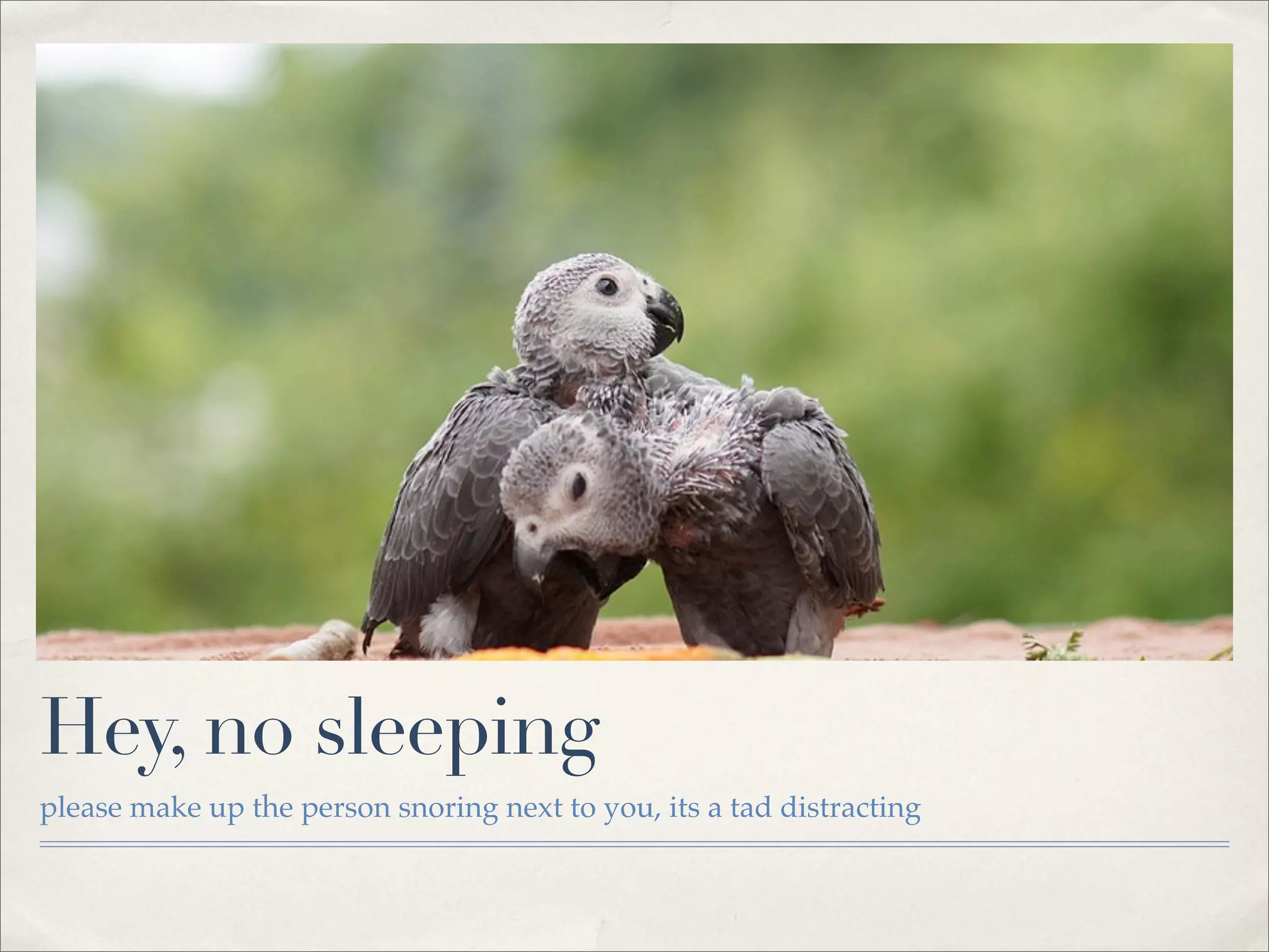 Hey, no sleeping
please make up the person snoring next to you, its a tad distracting
 