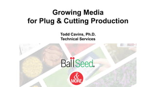 Growing Media
for Plug & Cutting Production
Todd Cavins, Ph.D.
Technical Services
 