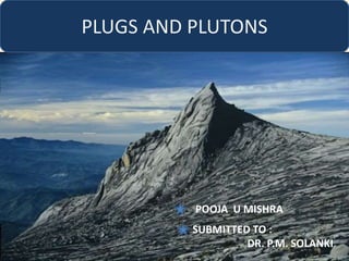 PLUGS AND PLUTONS
POOJA U MISHRA
SUBMITTED TO :
DR. P.M. SOLANKI
 