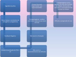 Ingestão da pílula
Doses baixas e constantes de
estrogénio e progestrona
Feedback Negativo
Inibição da produção de FSH e
LH
Não ocorre o
desenvolvimento dos folículos
Não ocorre a Ovulação
O progestagéneo confere
uma maior espessura ao muco
cervical
O muco fica mais
impermeável aos
espermatozóides
O progestagéneo actua
também ao nível das trompas
de falópio, diminuindo a
secreção e o peristaltismo das
trompas de falópio
Dificulta a progressão do ovo
 