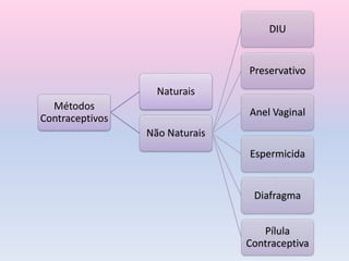 Métodos
Contraceptivos
Naturais
Não Naturais
DIU
Preservativo
Anel Vaginal
Espermicida
Diafragma
Pílula
Contraceptiva
 