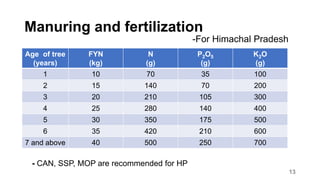 Manuring and fertilization
-For Himachal Pradesh
Age of tree
(years)
FYN
(kg)
N
(g)
P2O5
(g)
K2O
(g)
1 10 70 35 100
2 15 140 70 200
3 20 210 105 300
4 25 280 140 400
5 30 350 175 500
6 35 420 210 600
7 and above 40 500 250 700
- CAN, SSP, MOP are recommended for HP
13
 