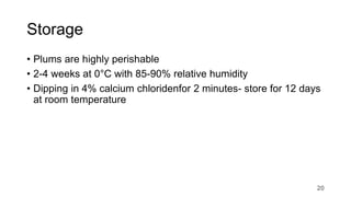 Storage
• Plums are highly perishable
• 2-4 weeks at 0°C with 85-90% relative humidity
• Dipping in 4% calcium chloridenfor 2 minutes- store for 12 days
at room temperature
20
 