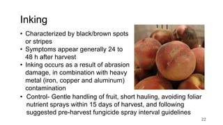 Inking
• Characterized by black/brown spots
or stripes
• Symptoms appear generally 24 to
48 h after harvest
• Inking occurs as a result of abrasion
damage, in combination with heavy
metal (iron, copper and aluminum)
contamination
• Control- Gentle handling of fruit, short hauling, avoiding foliar
nutrient sprays within 15 days of harvest, and following
suggested pre-harvest fungicide spray interval guidelines
22
 