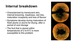 Internal breakdown
• Characterized by translucent skin,
internal browning, mealiness, red inks,
maturation incapacity and loss of flavour
• Symptoms develop during maturation of
fresh plums or plums for drying, after a
period of cool storage
• The fruit that is stored within
temperatures of 2 to 6°C is more
susceptible to this problem
24
 