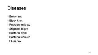Diseases
• Brown rot
• Black knot
• Powdery mildew
• Stigmina blight
• Bacterial spot
• Bacterial canker
• Plum pox
26
 