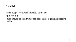 Contd…
• Soil-deep, fertile, well drained, loamy soil
• pH- 5.5-6.5
• Soil should be free from-Hard pan, water logging, excessive
salts
9
 