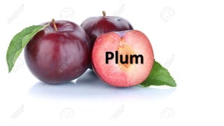Plum
 