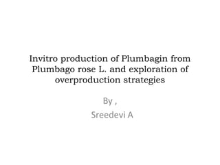 Invitro production of Plumbagin from 
Plumbago rose L. and exploration of 
overproduction strategies 
By , 
Sreedevi A 
 