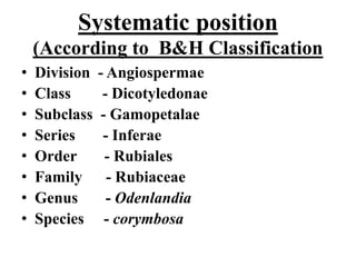 Subclass Systematics Plumbagin | PPT