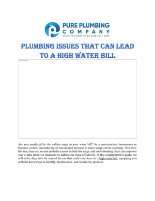 Plumbing Issues That Can Lead
To A High Water Bill
Are you perplexed by the sudden surge in your water bill? As a conscientious homeowner or
business owner, encountering an unexpected increase in water usage can be alarming. However,
fret not; there are several probable causes behind this surge, and understanding them can empower
you to take proactive measures to address the issue effectively. In this comprehensive guide, we
will delve deep into the myriad factors that could contribute to a high water bill, equipping you
with the knowledge to identify, troubleshoot, and resolve the problem.
 