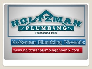 www.holtzmanplumbingphoenix.com
 