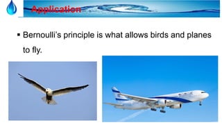 27
Application
 Bernoulli’s principle is what allows birds and planes
to fly.
 