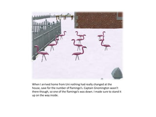 When I arrived home from Uni nothing had really changed at the house, save for the number of flamingo’s. Captain Gnomington wasn’t there though,so one of the flamingo’s was down. I made sure to stand it up on the way inside.