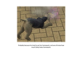 Probably because he tried to eat her homework, and we all know how much Dotty hates homework.