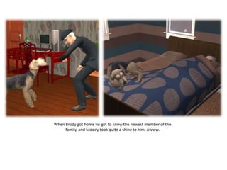 When Brody got home he got to know the newest member of the family, and Moody took quite a shine to him. Awww.