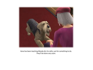 Kana has been teaching Moody ALL his skills, just for something to do. They’ll be done very soon.