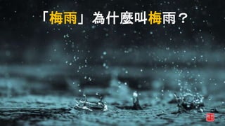 「梅雨」為什麼叫梅雨？
 